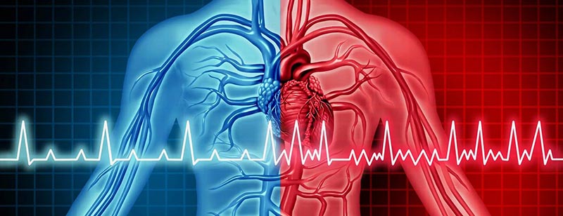 Cardiac Arrest by Electrocution